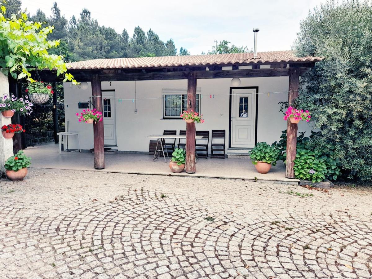 Casa Das Aveleiras - Satao Vila de Igreja Экстерьер фото